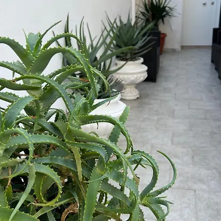Casa Myda *