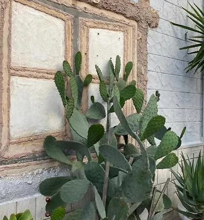 Casa Myda * Bari